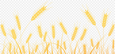 麦穗丰收农作物劳动png透明素材