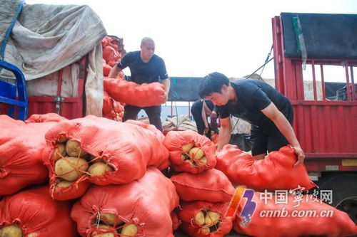 宁波闻 风 而动 确保 菜篮子 平稳运行